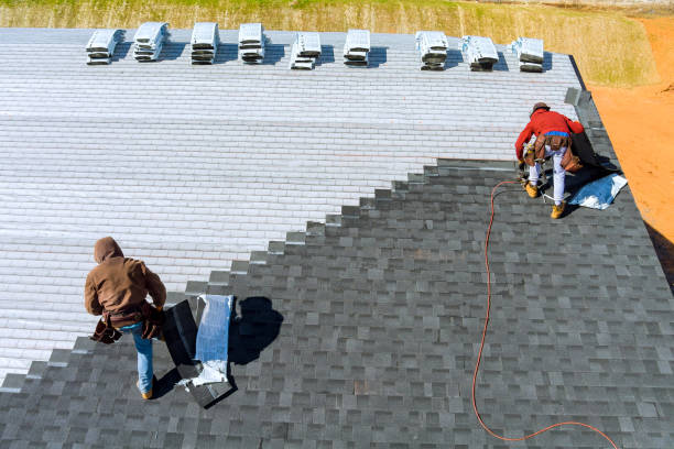 Best Storm Damage Roof Repair  in Petersburg, IL