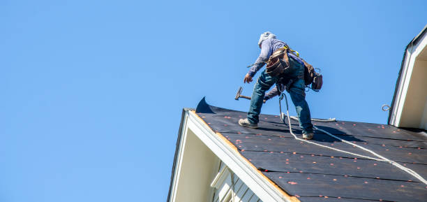 Best Metal Roofing Contractor  in Petersburg, IL